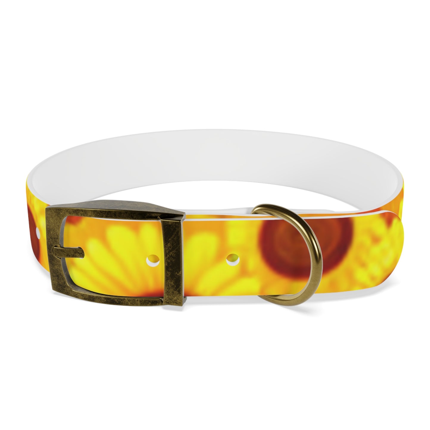 Dog Collar