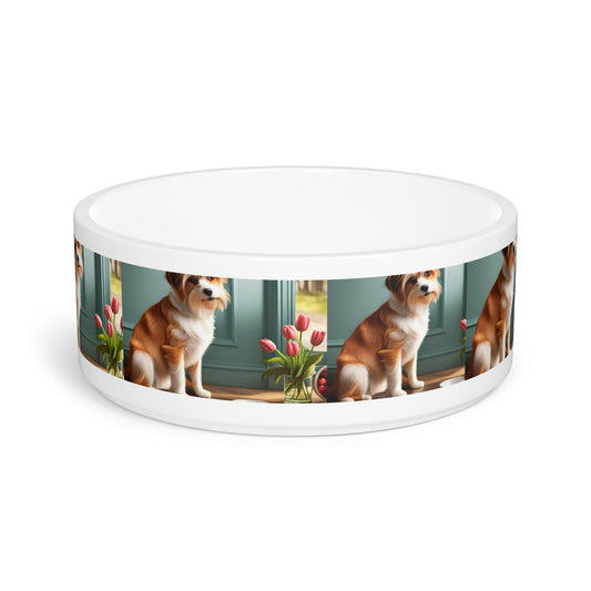 Pet Bowl