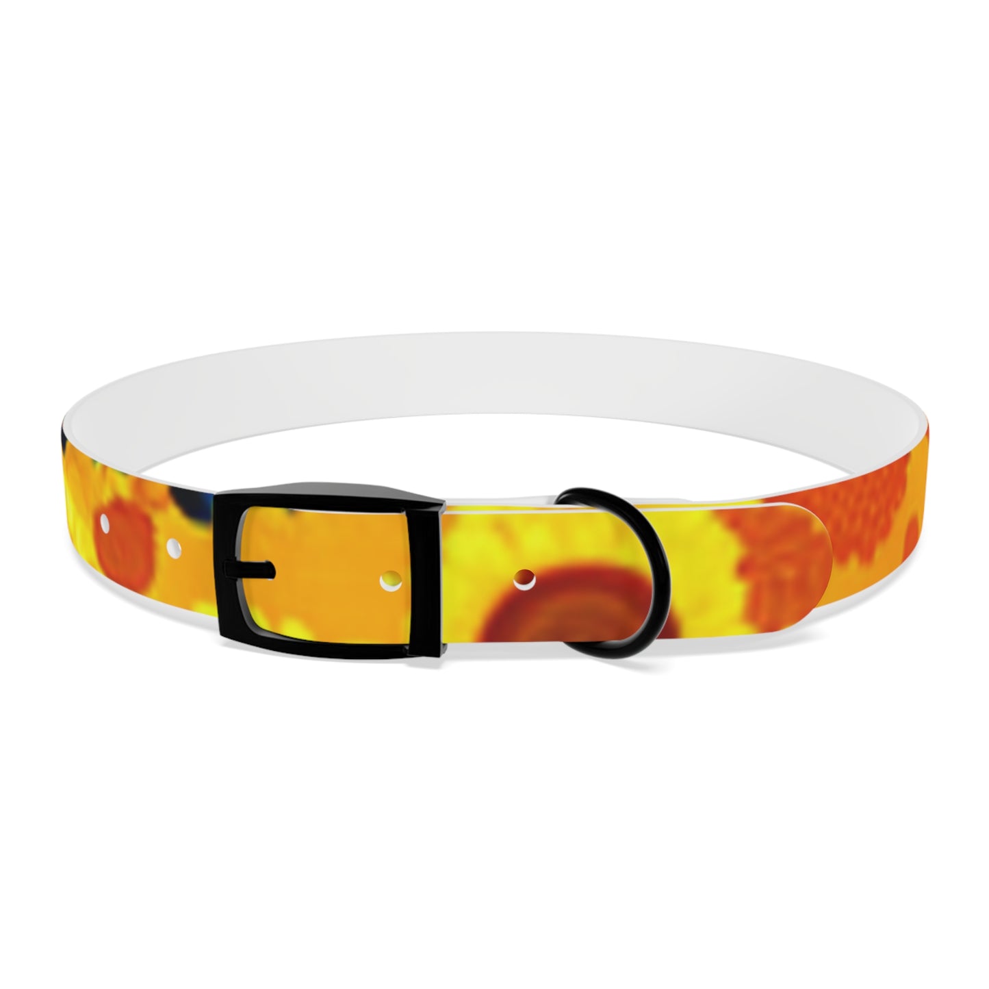 Dog Collar