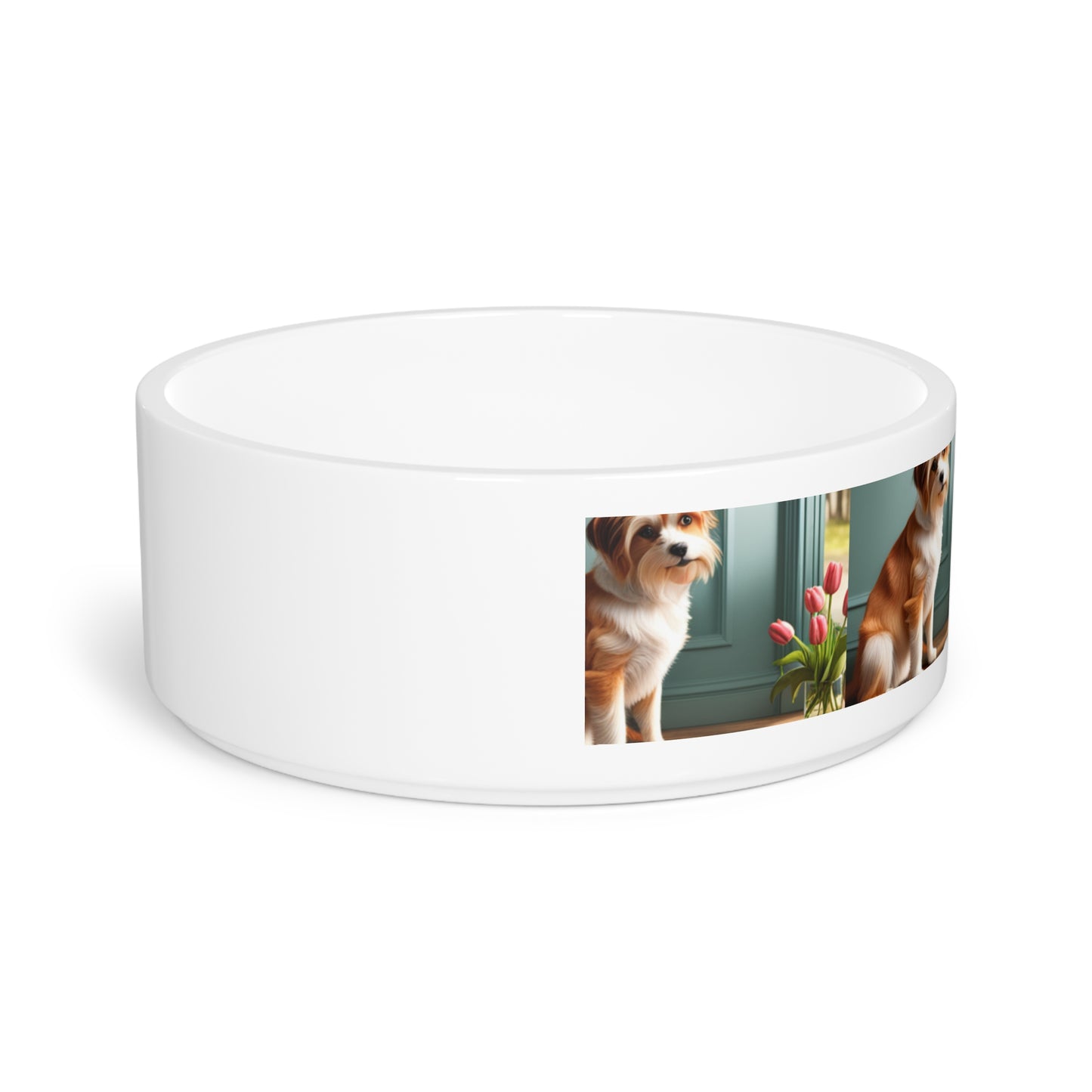 Pet Bowl