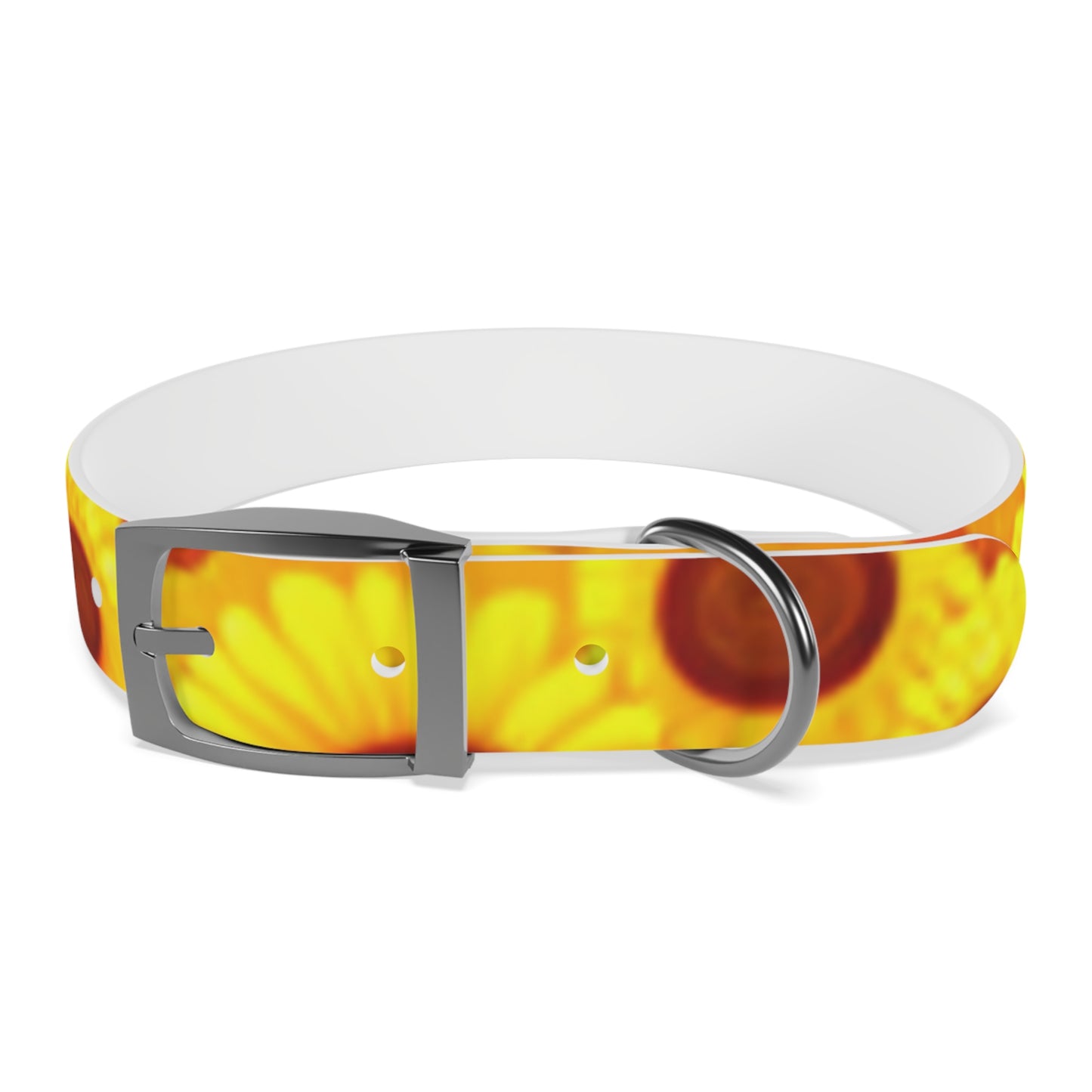 Dog Collar