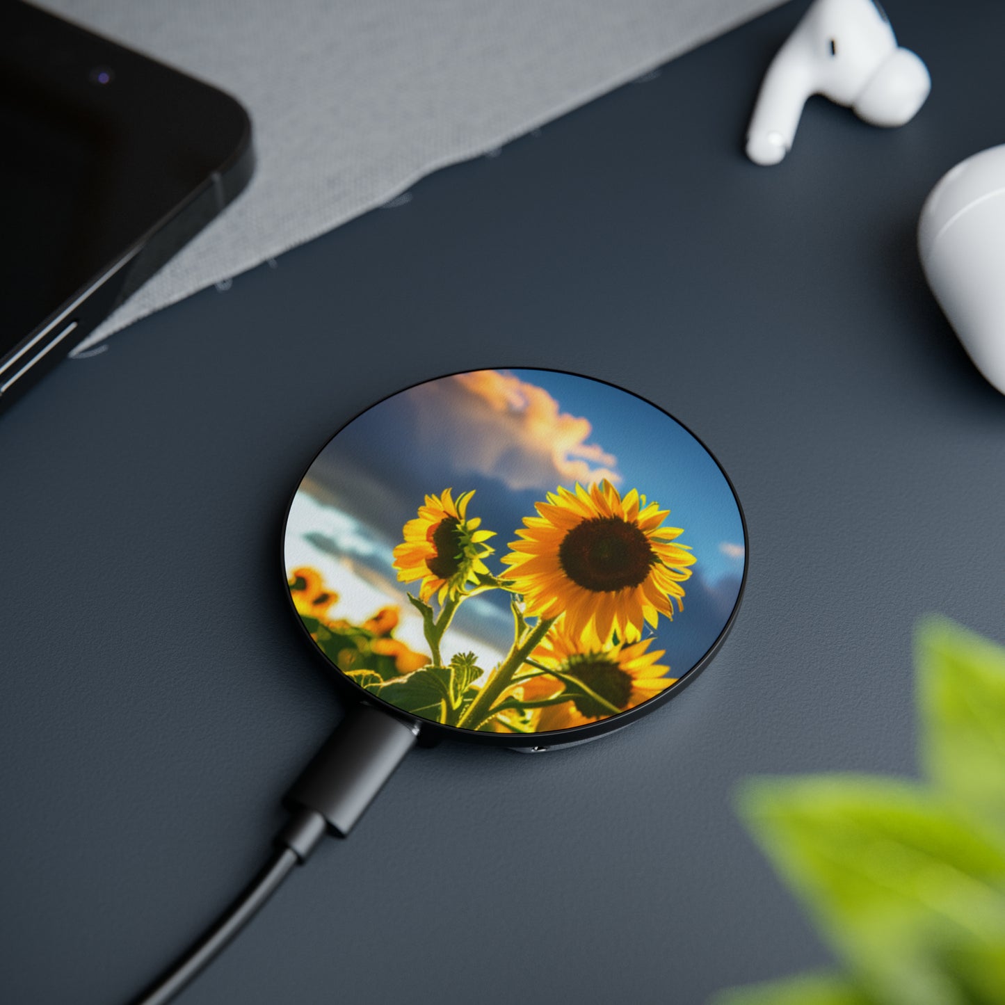 Magnetic Induction Charger
