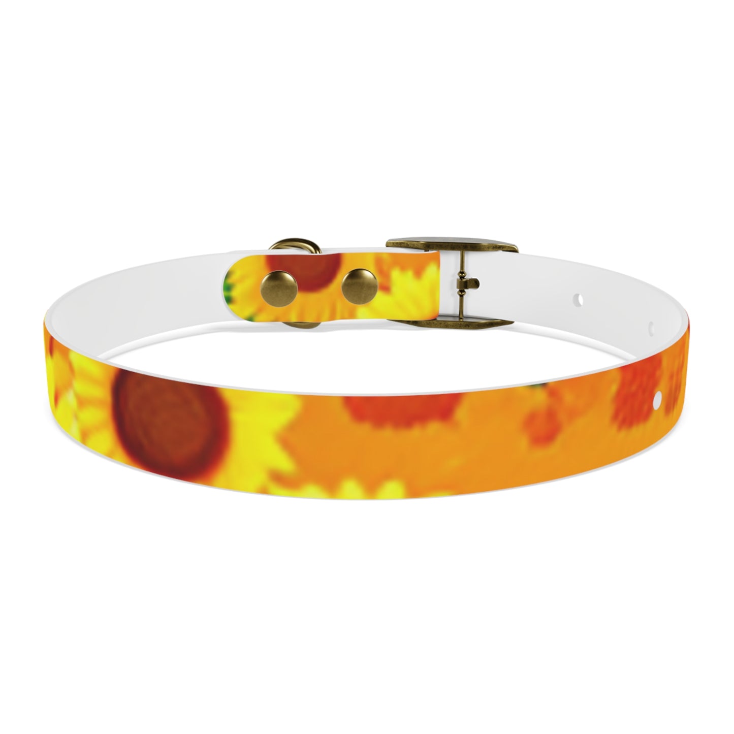 Dog Collar