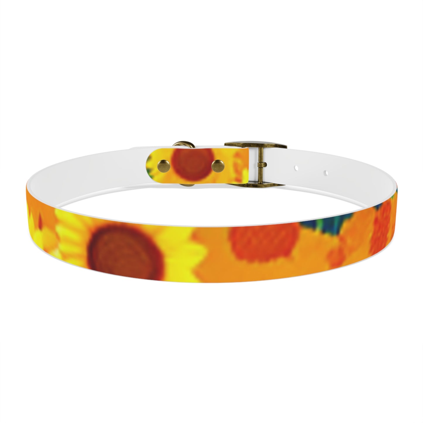 Dog Collar