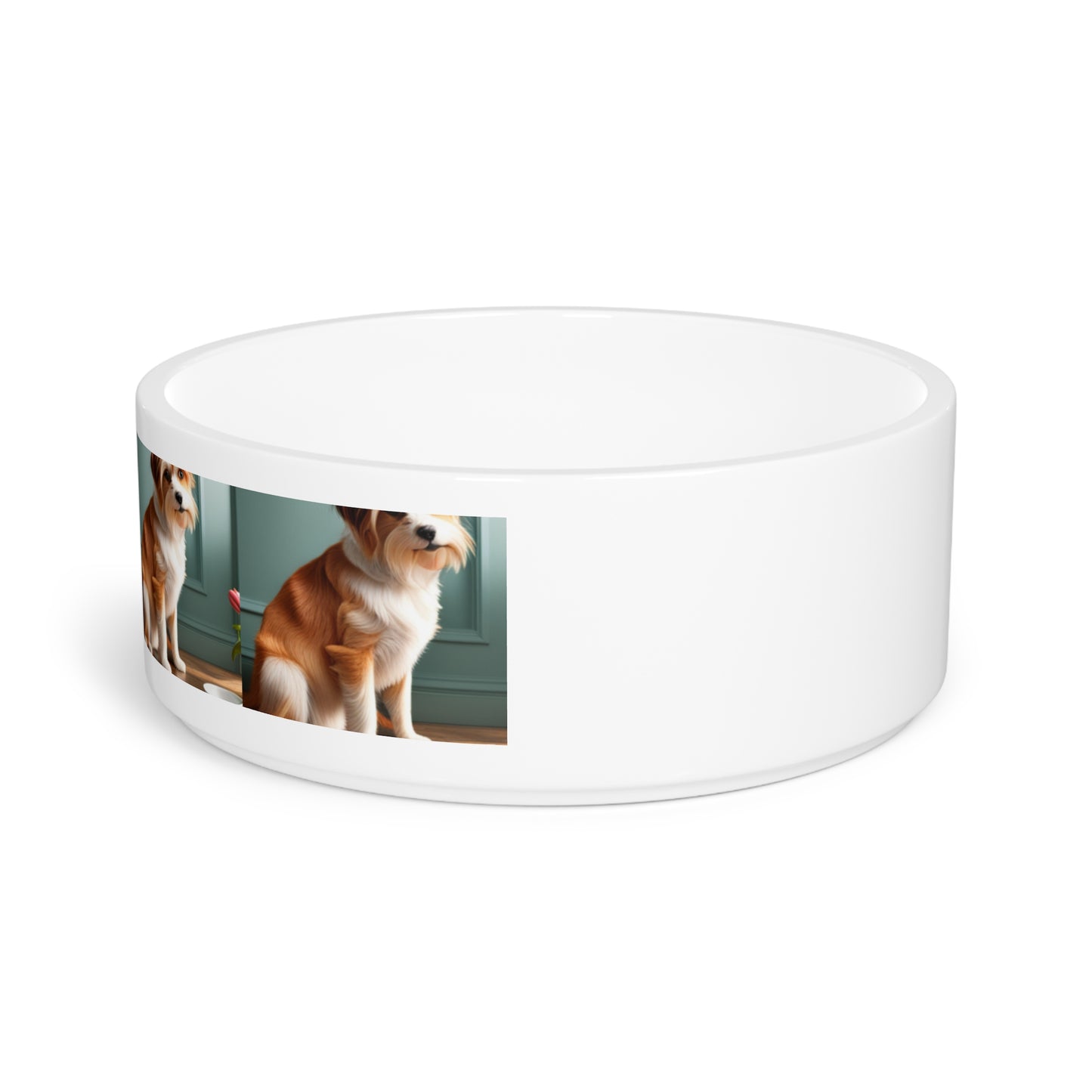 Pet Bowl