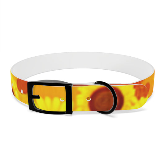 Dog Collar