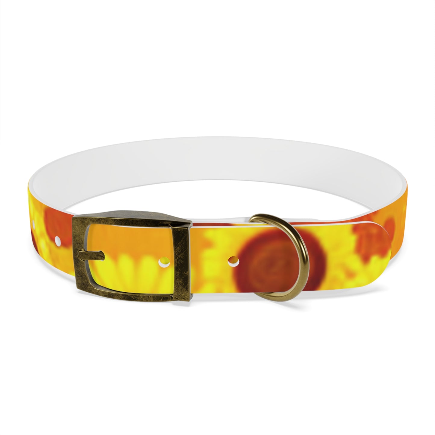 Dog Collar