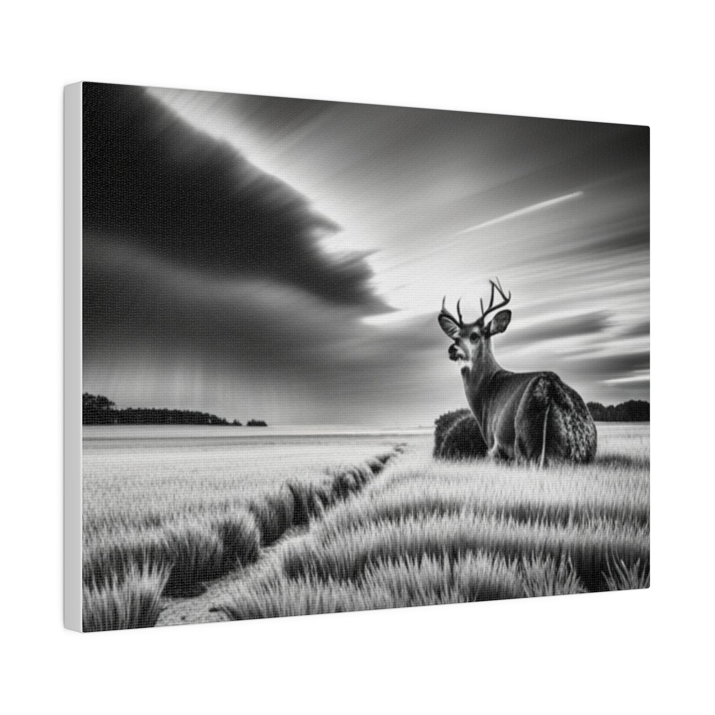 Matte Canvas, Stretched, 0.75"