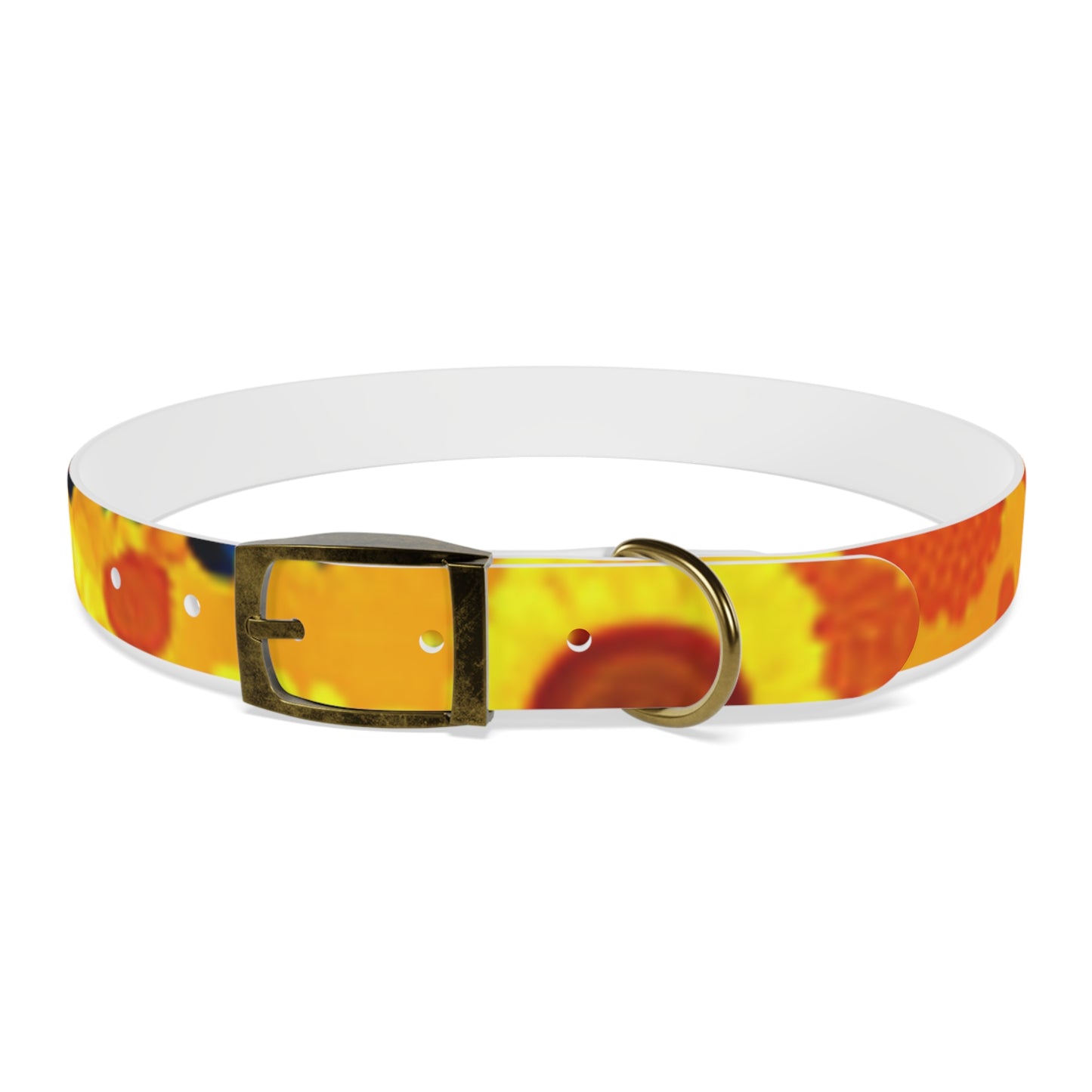 Dog Collar