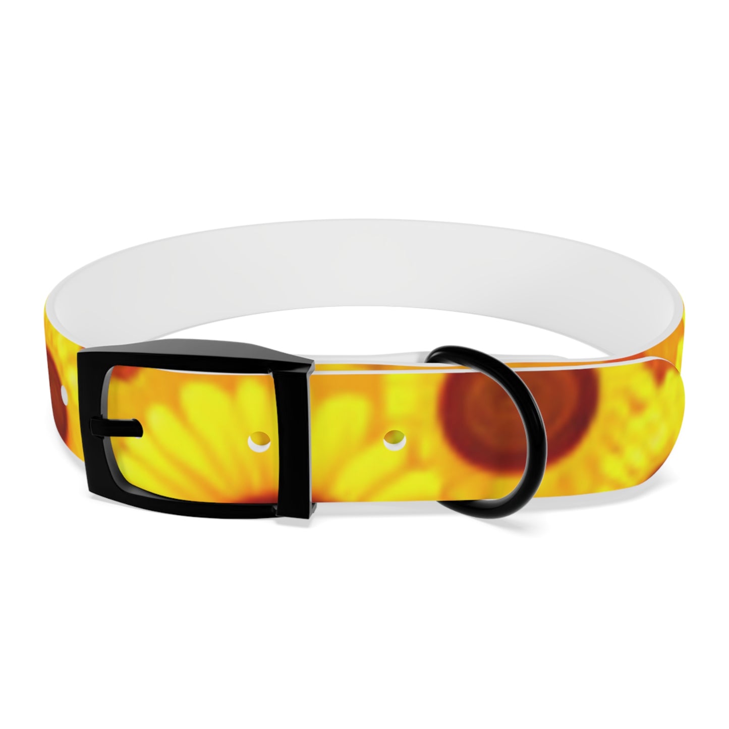 Dog Collar