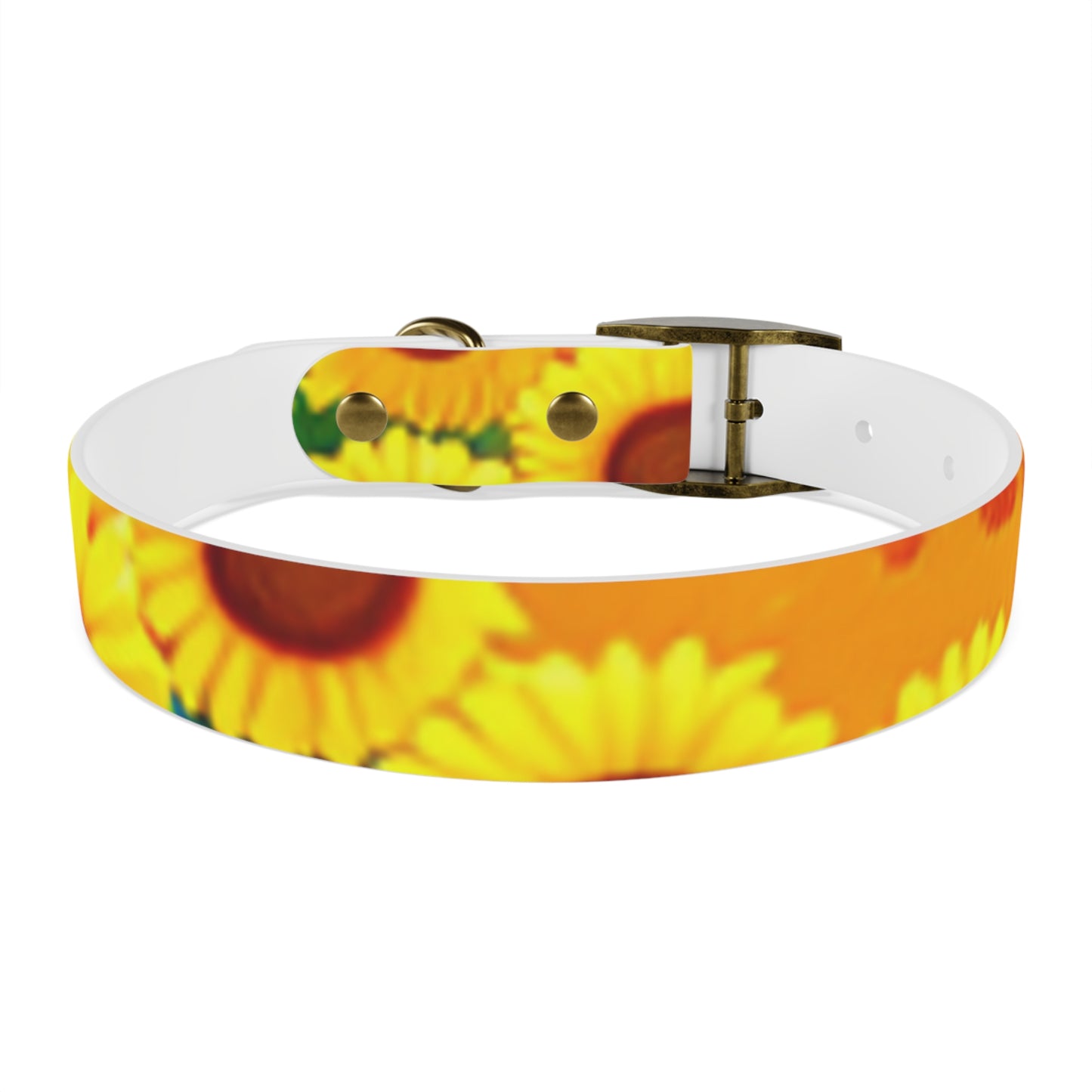 Dog Collar